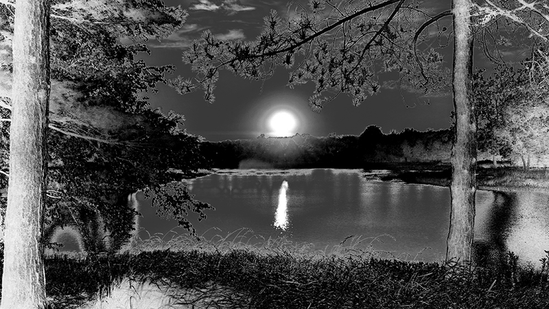 Illustration for article titled 18 Oddworld Photos That Reverse Light And Dark